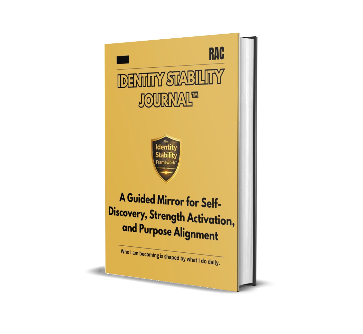 Identity Stability Journal